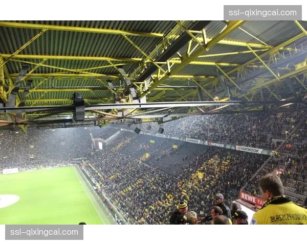 多特蒙德主场威斯特法伦球场完成草皮更换，旨在提供更快的比赛场地