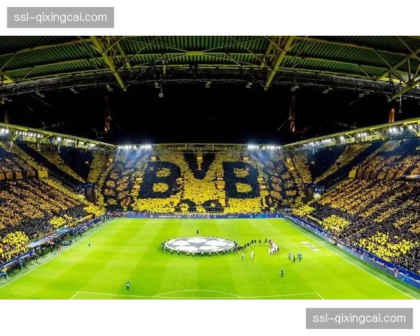 多特蒙德南看台改造费用预计达五位数，俱乐部寻求折中方案