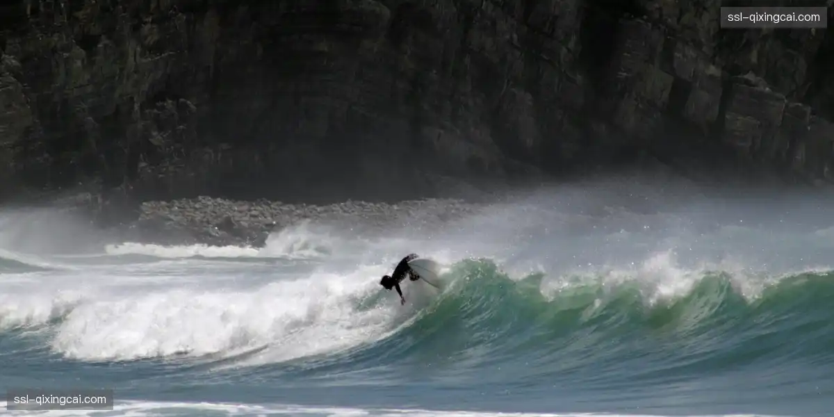 📱 赛事数据实时同步，全局掌控如运筹帷幄！🧠